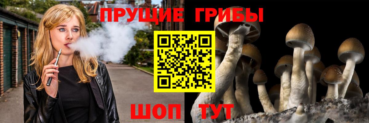 Галлюциногенные грибы Psilocybe  Вход с VPN  Галлюциногенные грибы прущие грибы  Севастополь 